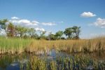 9. Okavango Delta.JPG